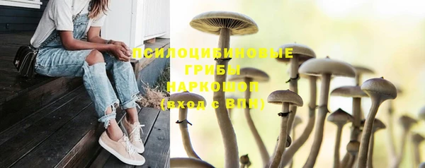 spice Алзамай