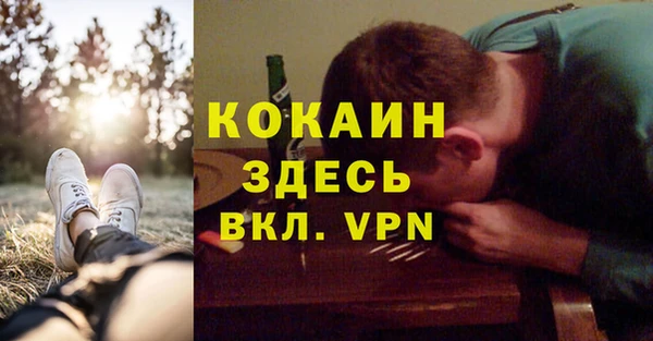 spice Алзамай