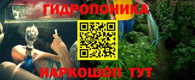 соль ск Дубна