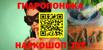 соль ск Дубна