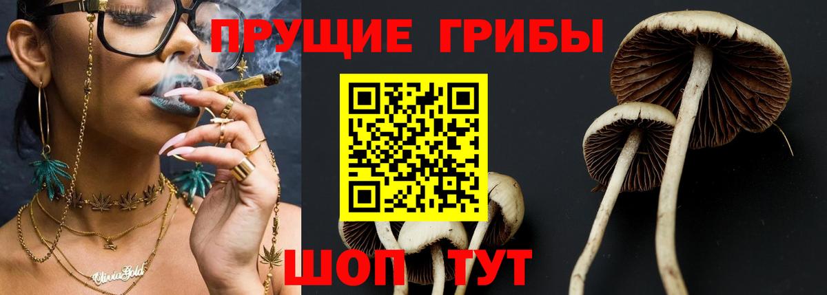 Псилоцибиновые грибы ЛСД  Галлюциногенные грибы Psilocybe  Вход с VPN  Куйбышев 